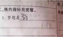 无作业日随想曲