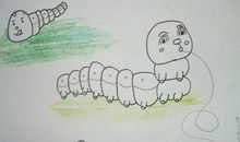 我是一只蚕宝宝