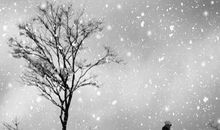 沉默无言的关爱