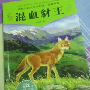 关于阅读《杂种Jack狼王》的思考
