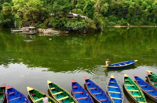 每个地方都有风景