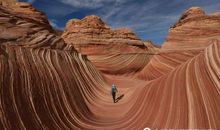 一张特殊的照片