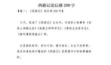 顶碗少年读后感200字
