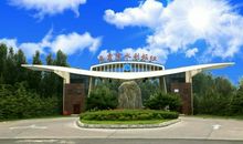 悠悠黄河悠悠情