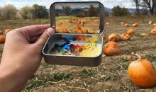 有趣的写生活动