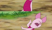 这次我真的哭了