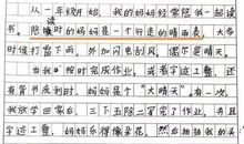 关于作业的作文