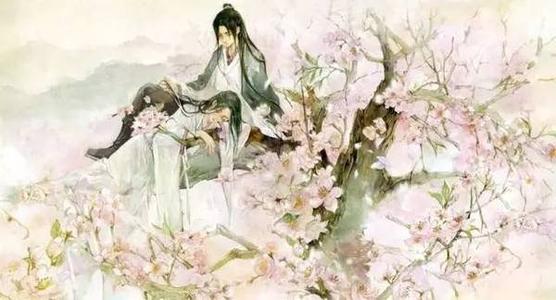 感激您的美丽
