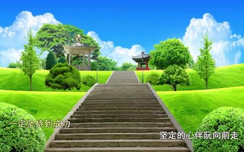 这次我选择坚持