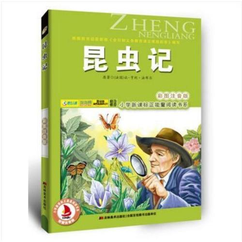 我最喜欢的课外书《昆虫》