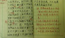 我发现了鸡蛋浮起来的秘密作文