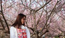 家乡的一道风景线