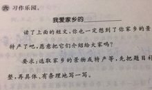 三年级作文一次有趣的实验