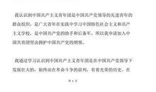 优秀高中入团志愿书（三）