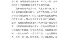 一次有意义的体验活动作文