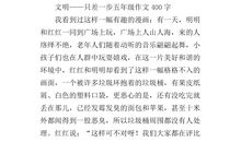 文明只差一步观后感