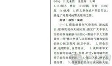 生活处处都有科学作文500字