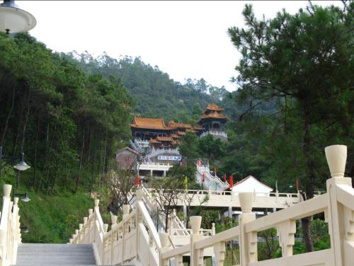 鹤山大雁山旅游记