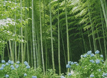 贯穿春季和夏季