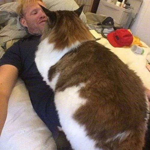 我和笑的猫一起度过一天