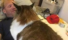 我和笑猫过一天