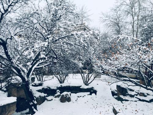 2020年的第一场雪