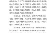 那一次我懂得了什么