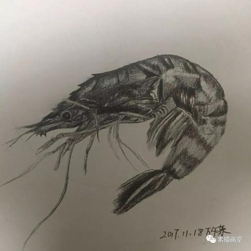 素描世界中的感觉