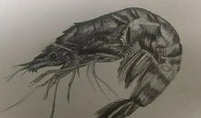 在素描世界中的感悟