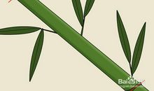 不是每根竹子都能做成笛子读后感