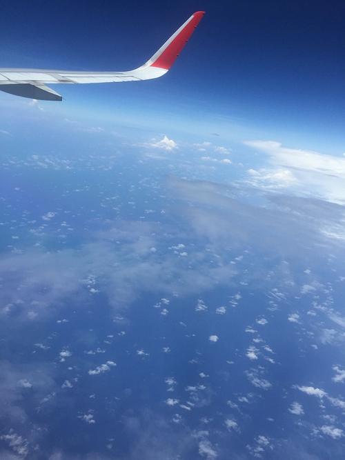 一缕特殊的阳光