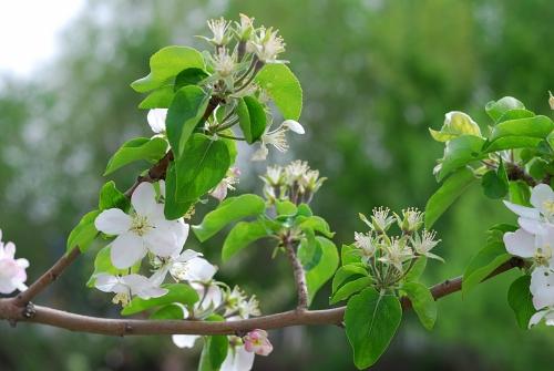 不要因为普通而忘记香水