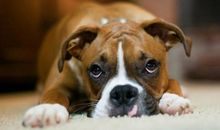 那一刻我很自责