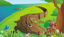 我和动物之间的故事