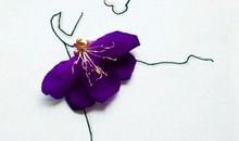 面对剥落的花瓣我流泪了