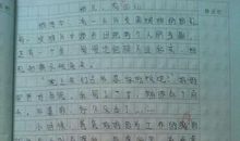 鼻子酸的经历作文500字