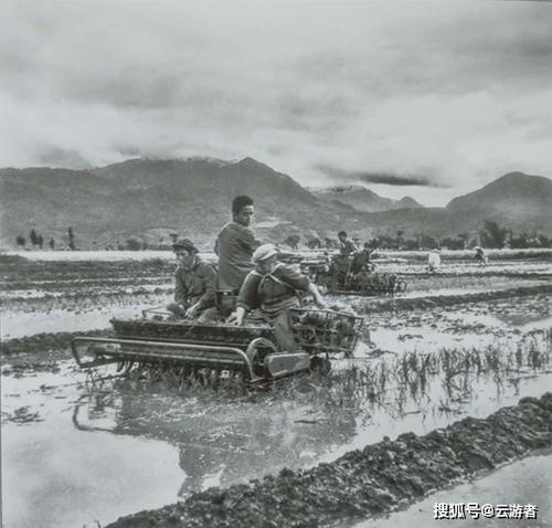 第一次播种