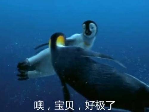 从您的护理中移走