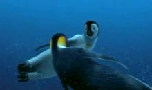 感动，源于您的呵护