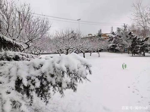 2020年的第一场雪