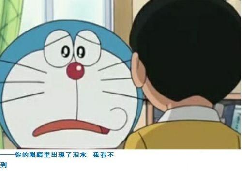 我与机器猫的一天