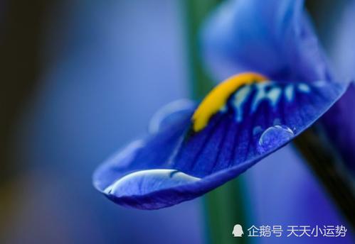 看着六月的阳光，期待明年盛开的花朵