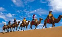 酸甜苦辣夏令营