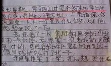 围绕暖字写一篇作文