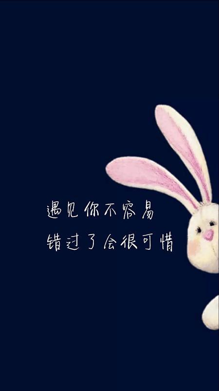 世界如此广阔，与您相遇并不容易