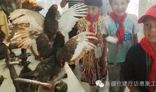 夏令营之标本馆