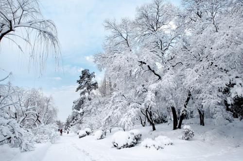 冬季雪景