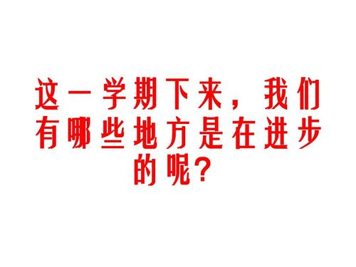 我的学期总结