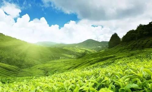 自信永远存在