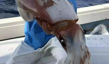 踏着春光去旅行